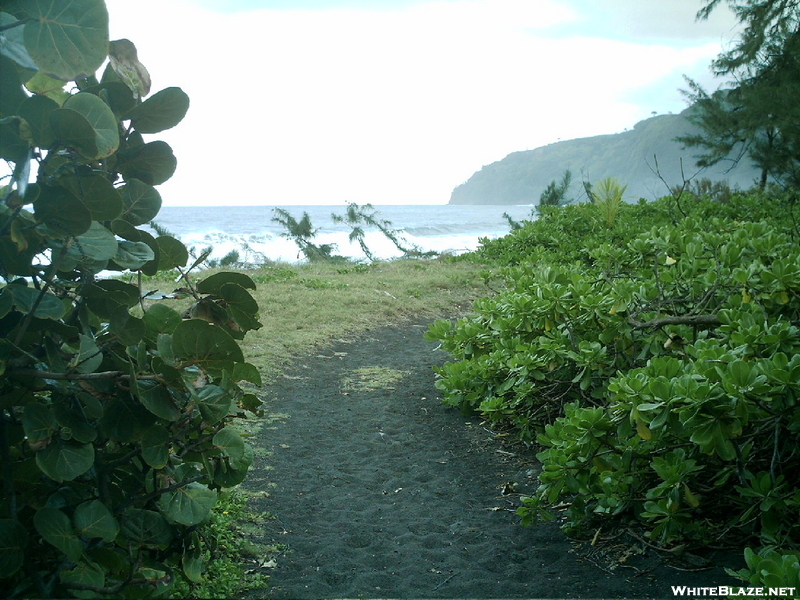 Waipio Valley Trail 3