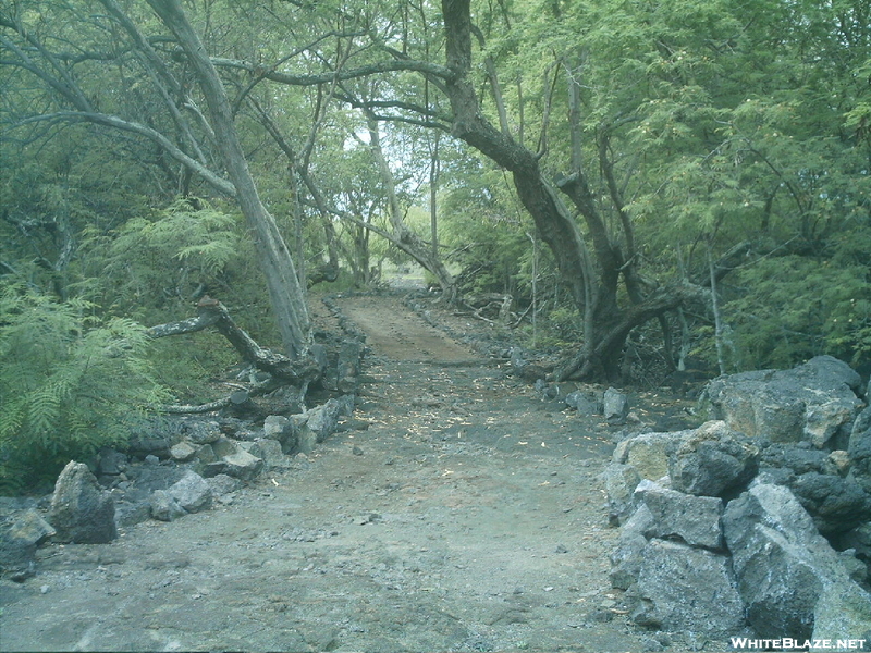 Kaloko-honokohau Nhp Hike 10
