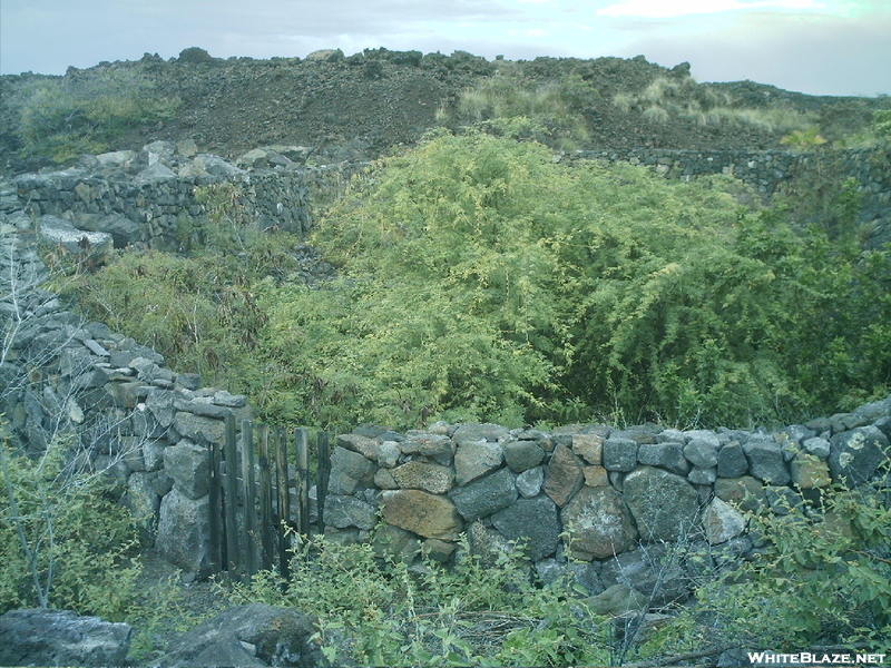 Kaloko-honokohau Nhp Hike 9