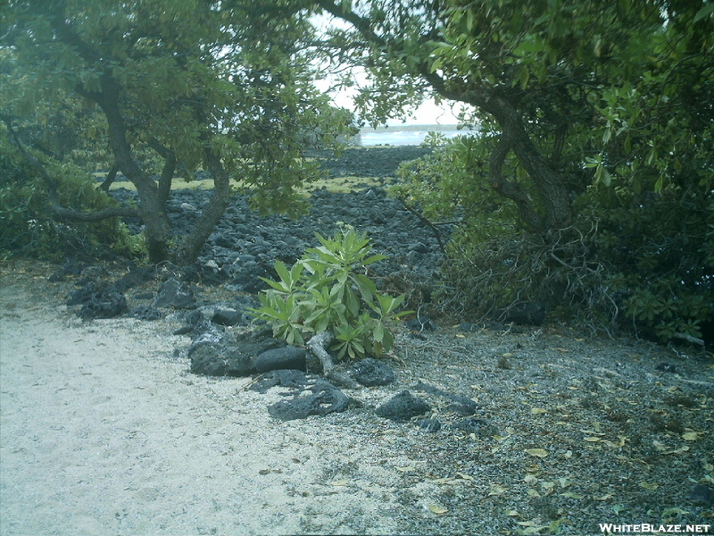 Kaloko-honokohau Nhp Hike 17