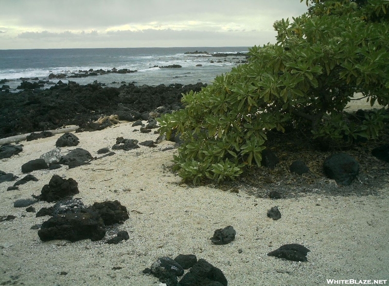 Kaloko-honokohau Nhp Hike 16