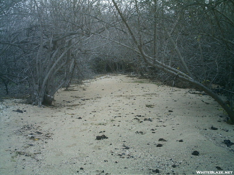 Kaloko-honokohau Nhp Hike 14