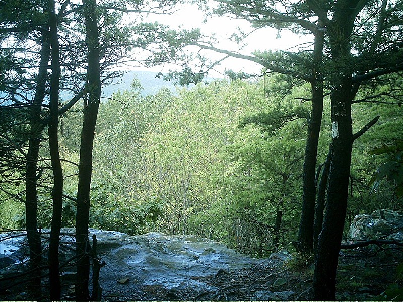 just North of Shenandoah NP. boundary