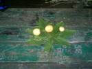 Kalalau Trail - Fresh Plucked Guava by camojack in Special Points of Interest