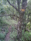 Kalalau Trail - Hanakoa Valley Sign