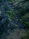 Kalalau Trail Rivulet by camojack in Special Points of Interest