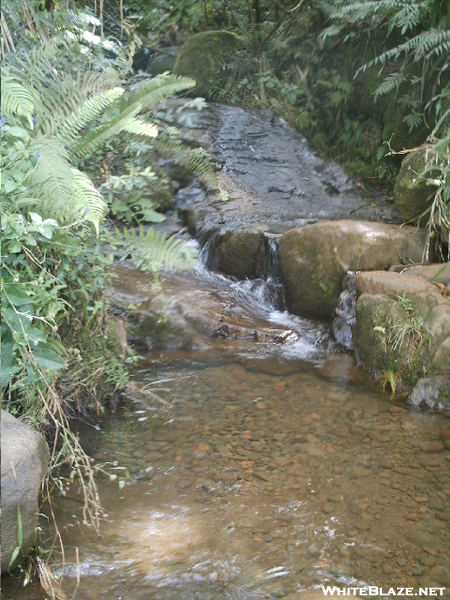 Kalalau Trail Stream