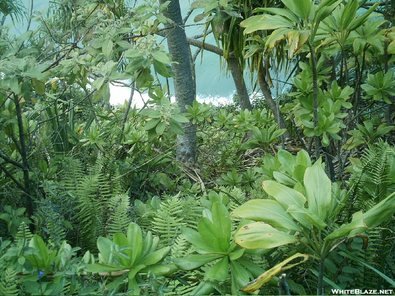 Kalalau Trail View 4