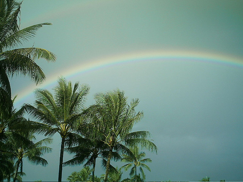 kauai 2011 rainbow 2