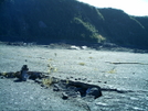 Hiking In Hawaii 2008 by camojack in Other Trails