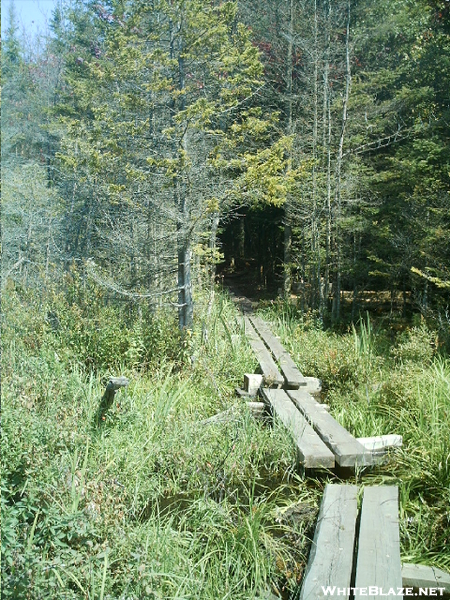 Boardwalk Near Sucker Pond