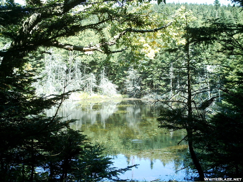 Ccc Water Supply Pond 2