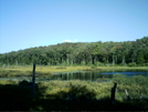 Gore Pond by camojack in Trail and Blazes in Massachusetts