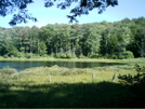 Gore Pond 2 by camojack in Trail and Blazes in Massachusetts