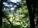 Wetlands Near Gore Pond