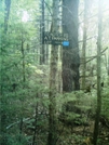Notch Road Trail Sign by camojack in Trail and Blazes in Massachusetts