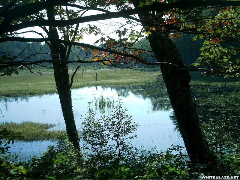 Scrub Hill Beaver Pond