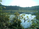 Scrub Hill Beaver Pond 8