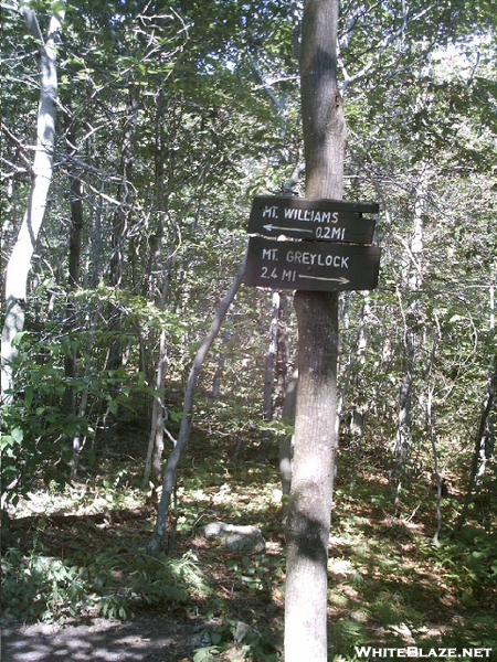 Sign Between Mt. Williams And Mt. Greylock