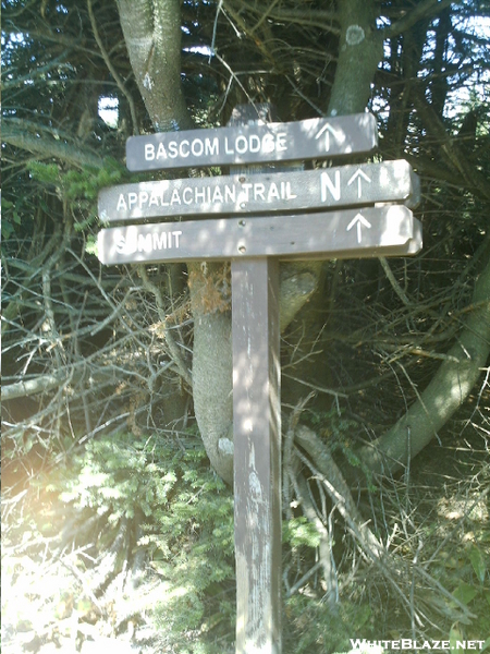 Sign Near Mt. Greylock Summit
