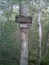 Signs For Basset Brook Campsite And Mark Noepel Shelter