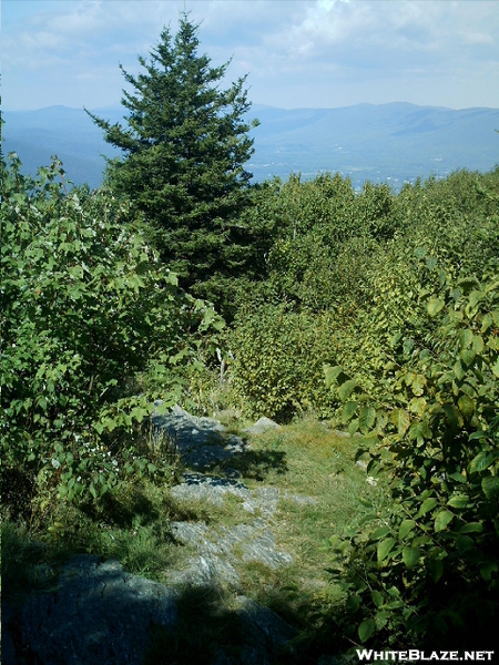 View From Mt. Williams Summit