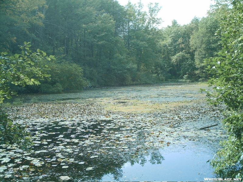 Lake Lenape