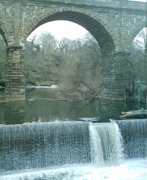 Wissahickon Clean-up