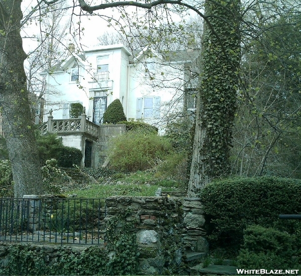 Wissahickon Clean-up