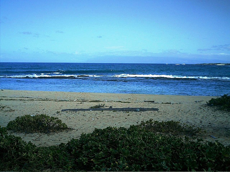 Niihau 2011 beach