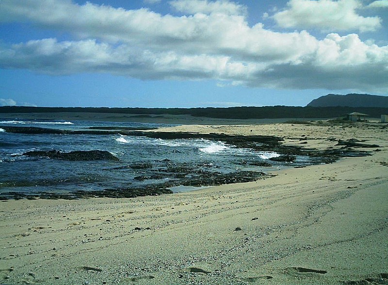 Niihau 2011 beach 2