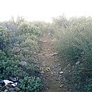 November 2011 S. CA 3 by camojack in Pacific Crest Trail