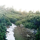 November 2011 S. CA 6 by camojack in Pacific Crest Trail