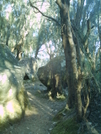 Hiking In Hawaii 2008 by camojack in Other Trails