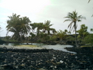 Hiking In Hawaii 2008