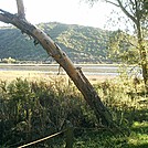 S. CA 2011 Batiquitos Lagoon hike 4 by camojack in Special Points of Interest