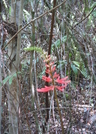 Florida - The Everglades, Mostly by camojack in Other Trails