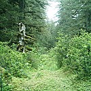 Spruce Island Alaska - hike from Ouzinkie to Sunny Cove 2