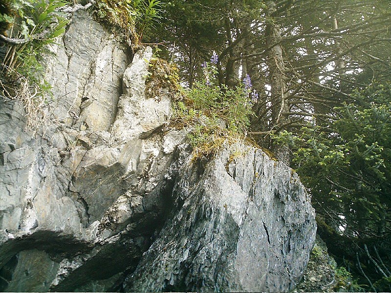 Spruce Island Alaska - hike to Ouzinkie, cliff face