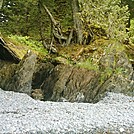 Spruce Island Alaska - hike to Ouzinkie, pebbly beach 4 by camojack in Special Points of Interest