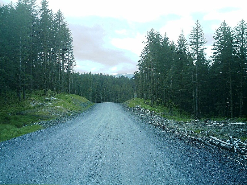 Spruce Island Alaska - road to Ouzinkie