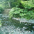 Spruce Island, Alaska - stream crossing on trail back from  Mt. Herman 3 by camojack in Special Points of Interest