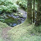 Spruce Island, Alaska - stream crossing on trail back from  Mt. Herman