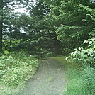 Spruce Island, Alaska - trail back from Mt. Herman 11