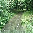 Spruce Island, Alaska - trail back from Mt. Herman 13 by camojack in Special Points of Interest