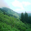 Spruce Island, Alaska - trail back from Mt. Herman 4