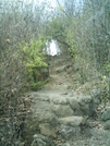 St. Bart's Hike - Green Tunnel