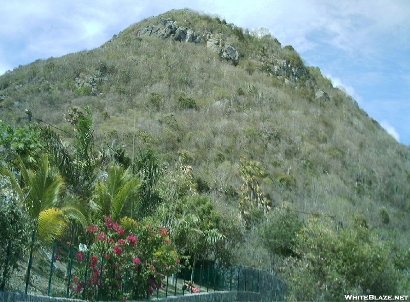 St. Bart's Hike - Hill