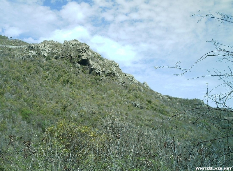 St. Bart's Hike - Hillside