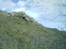 St. Bart's Hike - Hillside